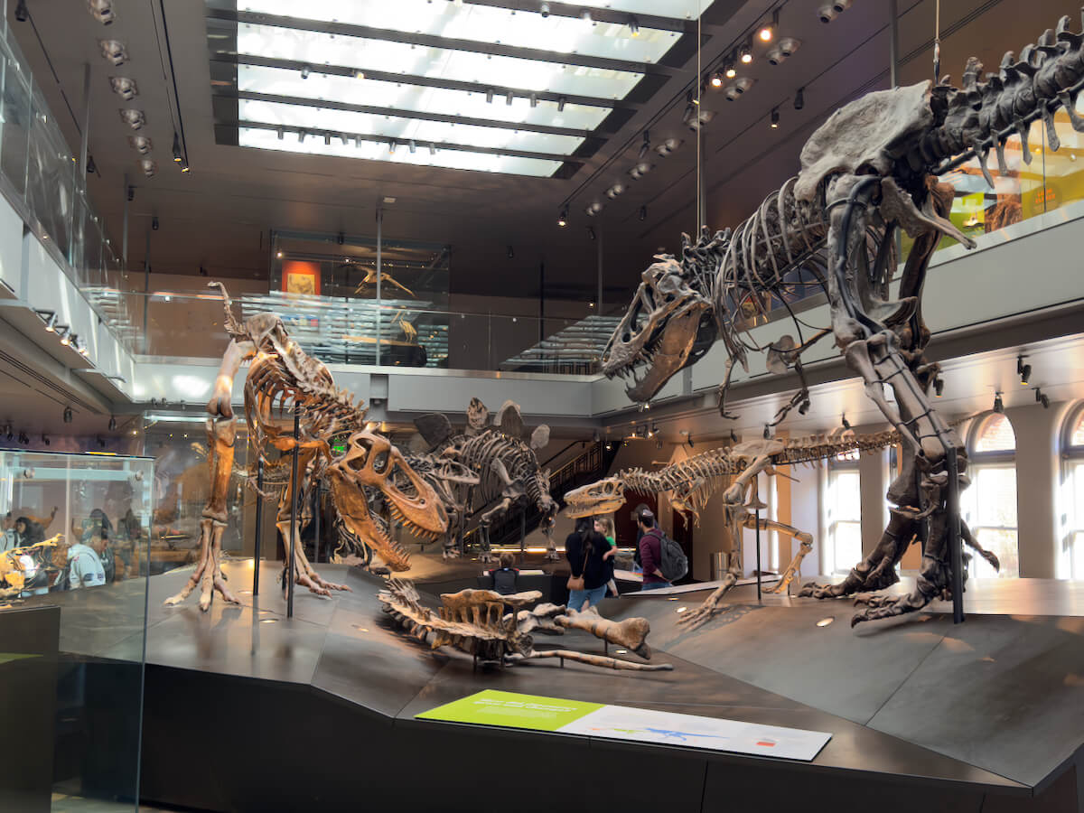 自然历史博物馆-恐龙